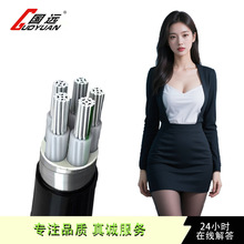 YJLV三相四線鋁芯電纜電力電纜地埋電線16/25/35平方戶外架空鋁線