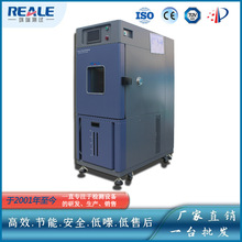 批發銷售 RHP-100L 恆溫恆濕試驗箱 現貨供應