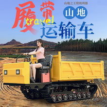 安宇爬山虎履帶車小型爬坡王全地形運料機山地農用運輸自卸爬山機