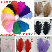 批發鴕鳥毛20-25cm彩色羽毛教師節花束蛋糕插件羽毛頭飾飾品配件