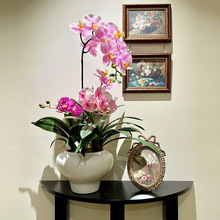 海虹景品蝴蝶蘭仿真花濕感高品質盆栽擺設假花藝擺件客廳輕奢高端