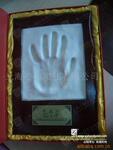 ��Ӧ������LYD2-D(SPD)��ӿ������(ͼ)