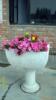 ��Ӧ��Ƭ���������ֻ�