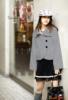 ��Ӧ1199EFW�Ͳ���ͲʽԶ������(ͼ)