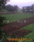厂家现货供应极细屏蔽电线36AWG可零售