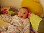 ��Ӧ����ӻ�����Բ�����˫������������������(ͼ)
