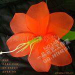 ��Ӧ��ˮ��ҹ��һ�廯�����(����1)(ͼ)