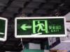 ��Ӧ��ʪ��ҩ---Ұ����ڶ�����ϸɡ����Ϸ�(ͼ)