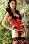 ��Ӧ���ͳ�����ߣ�CW-094)