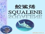 供应铜质工号牌(图)