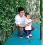��Ӧ��Ҷ��·�ƣ���ƺ��(ͼ)