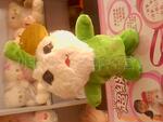 ��Ӧ��װ��ӡˢ��е(ͼ)
