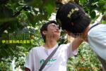 ��Ӧ�޷Ĳ��������������Ʒ������װ����