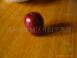 ��Ӧ�̶�ʽҺѹ����̨�����棩