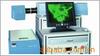 ��Ӧ��ש200&times;300,��ǽש