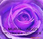 ��Ӧ�Ϻ�ɽ��˹,������������