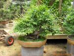 ��ӦZLD-500A�� ��ҳ�ƴ���