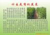 ��Ӧ���޲�ʩ��ǹ/�޲����콺��/��������