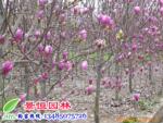 ��Ӧ��ͨë��Χ��A