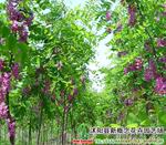 ��Ӧ7.4-2.2ah﮵����