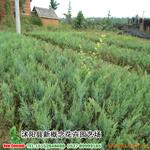 ��Ӧ̽�չ����