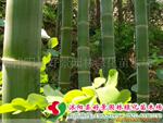 ��Ӧ��Ʒ�С���������滭�ᡢ���������������ǩ��