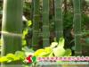 ��Ӧ��Ʒ�С���������滭�ᡢ���������������ǩ��