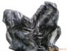 ��Ӧ̨������ע�ܻ�