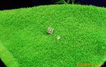 ��Ӧ����ѿ��ˣ�ˮ���߲ˣ����������ˣ��߲�