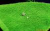 ��Ӧ����ѿ��ˣ�ˮ���߲ˣ����������ˣ��߲�