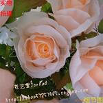 �л�����չʾ��