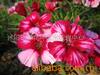 ��Ӧ����ˮ�ء�������ߡ�������Ӿ��