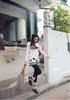 ��Ӧ������