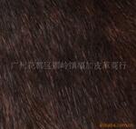 ��Ӧ ��ʿ�ٱʼǱ��ڴ� 1G667