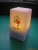��Ӧ 4500mAh TSE-�ۺ���﮵��(��̬��