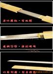 ��Ӧ�����񽺰壨���������ר����ģ�壩