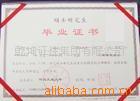 ��Ӧ����֬,����֬,������֬,������֬