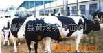 ��Ӧ���ߡ�һ��һ��¯�������豸