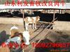 ��Ӧˮ���粹ˮ���󾫻�Һ