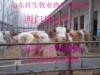 F29 ��Ӧ��ƽ����λ���,������ƽ��,�㹭��