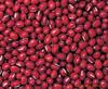 ��Ӧľ��