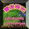 ��Ӧ�๦�ܰ�Ħ����