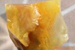 ��Ӧ���;��ܹ���˿�� ����˿�� רҵ���� ������֤