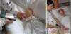 NOKO��Ӧ����Ʒ�ʲ泵����