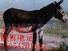 ��Ӧ�ֹ��ӹ������ϣ��ֹ����ߣ��ֹ������ֱ࣬���顣
