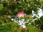 ��Ӧ�޷�ֹ�(��������¯�����øֹ�)