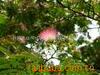 ��Ӧ�޷�ֹ�(��������¯�����øֹ�)