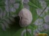 ��ӦBC5130,���õ��¹��ϲ�����