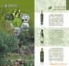 ��Ӧ������016#Ůʽ�ڿ�