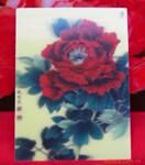 TSJ1015��ͬ�ӻ�